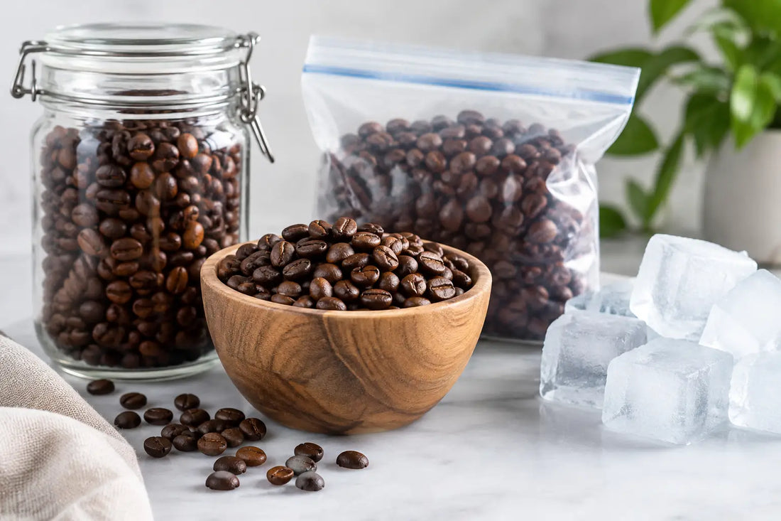 Can Coffee Beans Freeze? How to Store Them Well