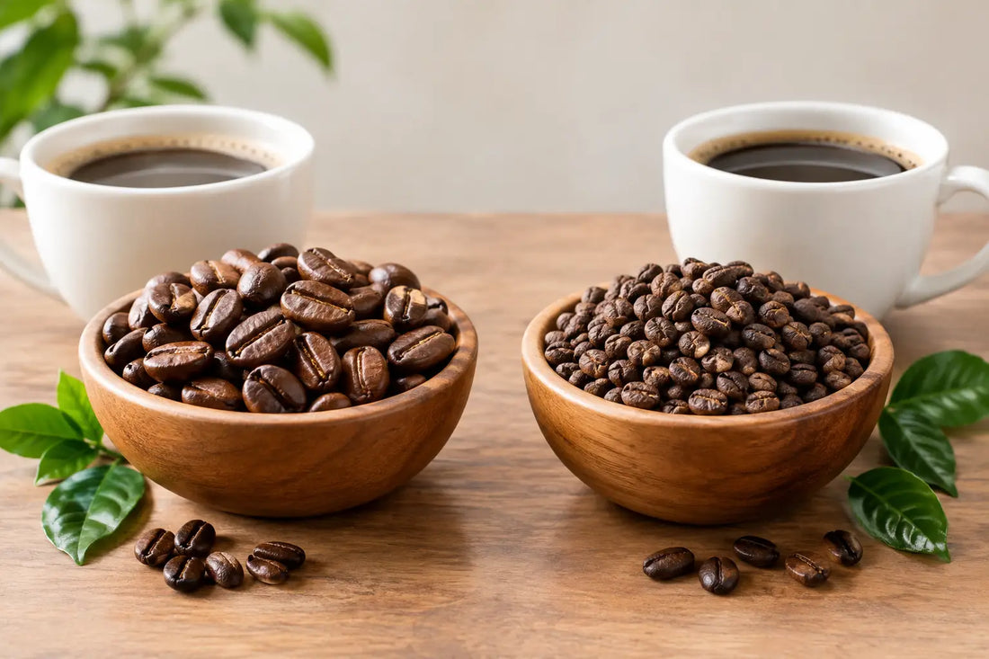 Arabica Versus Robusta Coffee: Which Bean Wins?